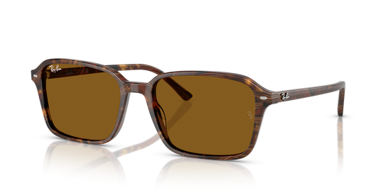 Ray-BanRB2231 141833 56