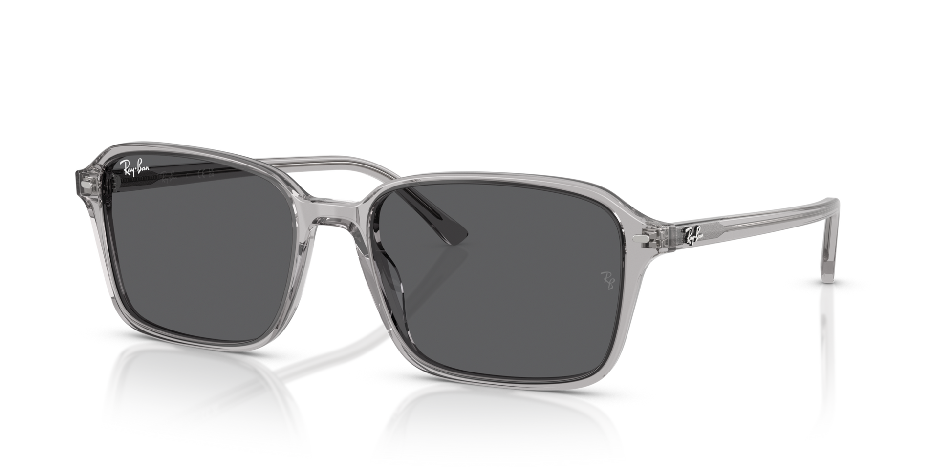 Ray-Ban RB2231 1436B1 58