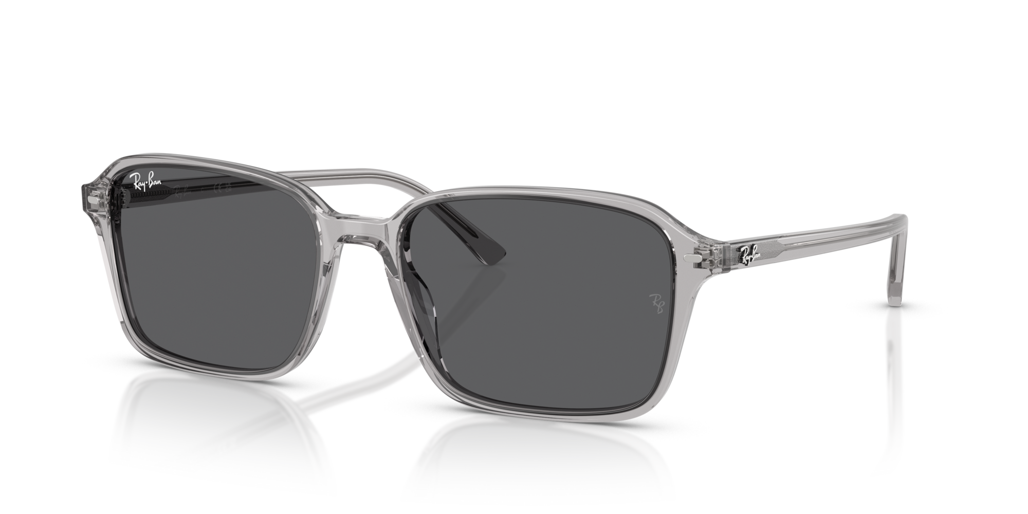 Ray-Ban RB2231 1436B1 58