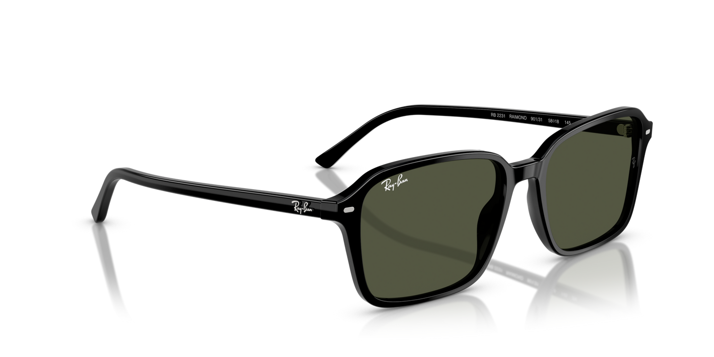 Ray-BanRB2231 901/31 58