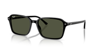 Ray-Ban Raimond RB2231 901/31