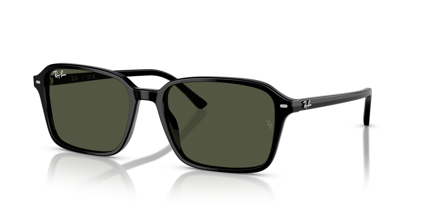 Ray-BanRB2231 901/31 58