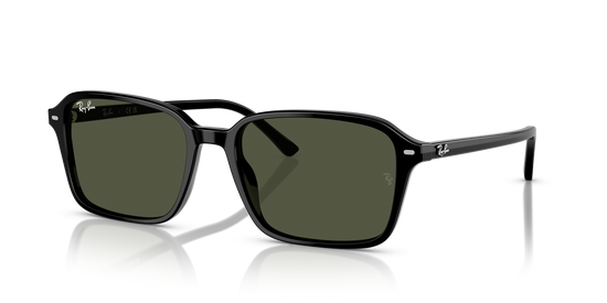 Ray-BanRB2231 901/31 58