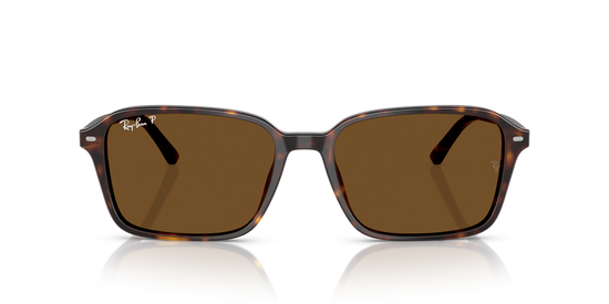 Ray-BanRB2231 902/57 56