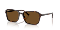 Ray-Ban Raimond RB2231 902/57