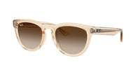 Ray-Ban RB2237 690213