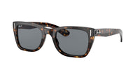 Ray-Ban RB2248 CARIBBEAN 902/R5