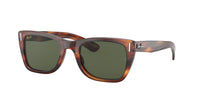 Ray-Ban RB2248 CARIBBEAN 954/31