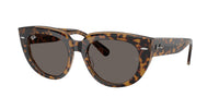 Ray-Ban RB2286 DOREEN 1292B1