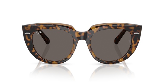 Ray-BanRB2286 1292B1 49