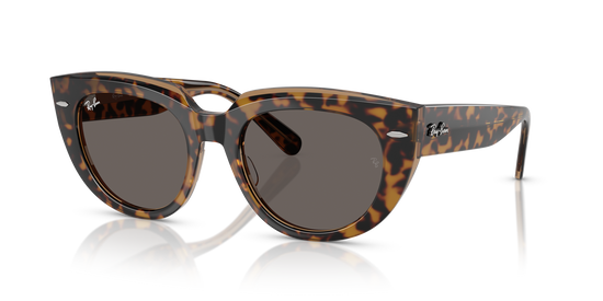 Ray-BanRB2286 1292B1 49