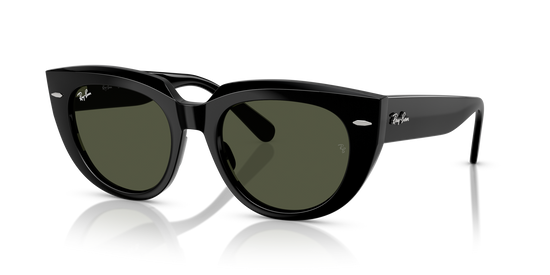 Ray-BanRB2286 901/31 49