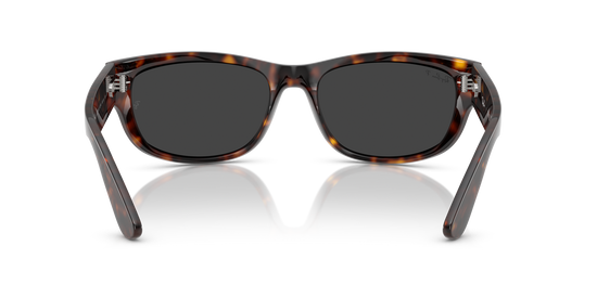 Ray-BanRB2289 902/48 60