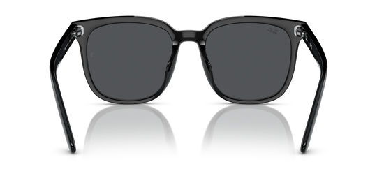 Ray-BanRB4401D 601/87 55