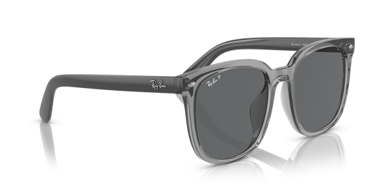 Ray-BanRB4401D 659981 55