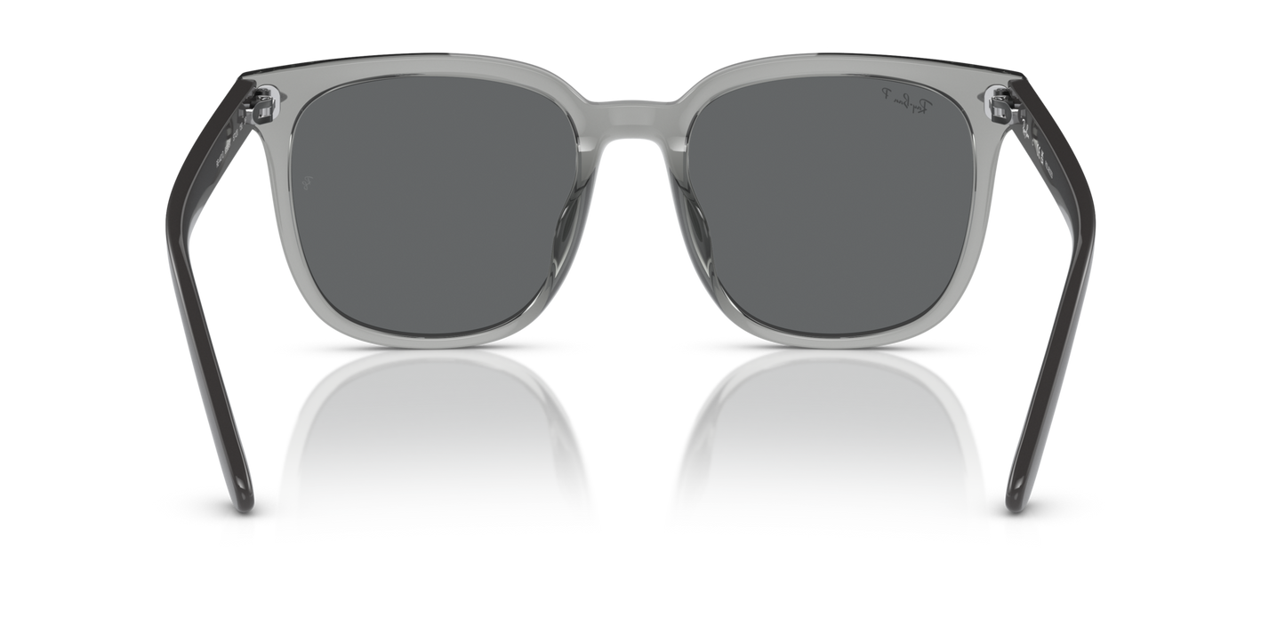 Ray-BanRB4401D 659981 55