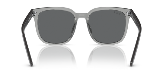 Ray-BanRB4401D 659981 55