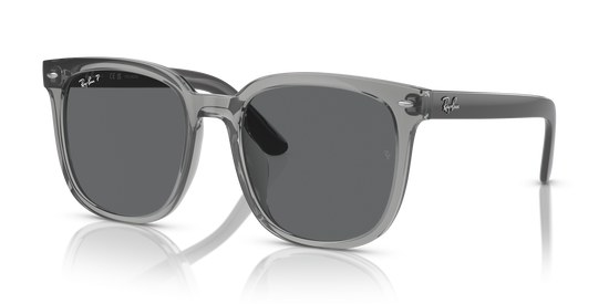 Ray-BanRB4401D 659981 55