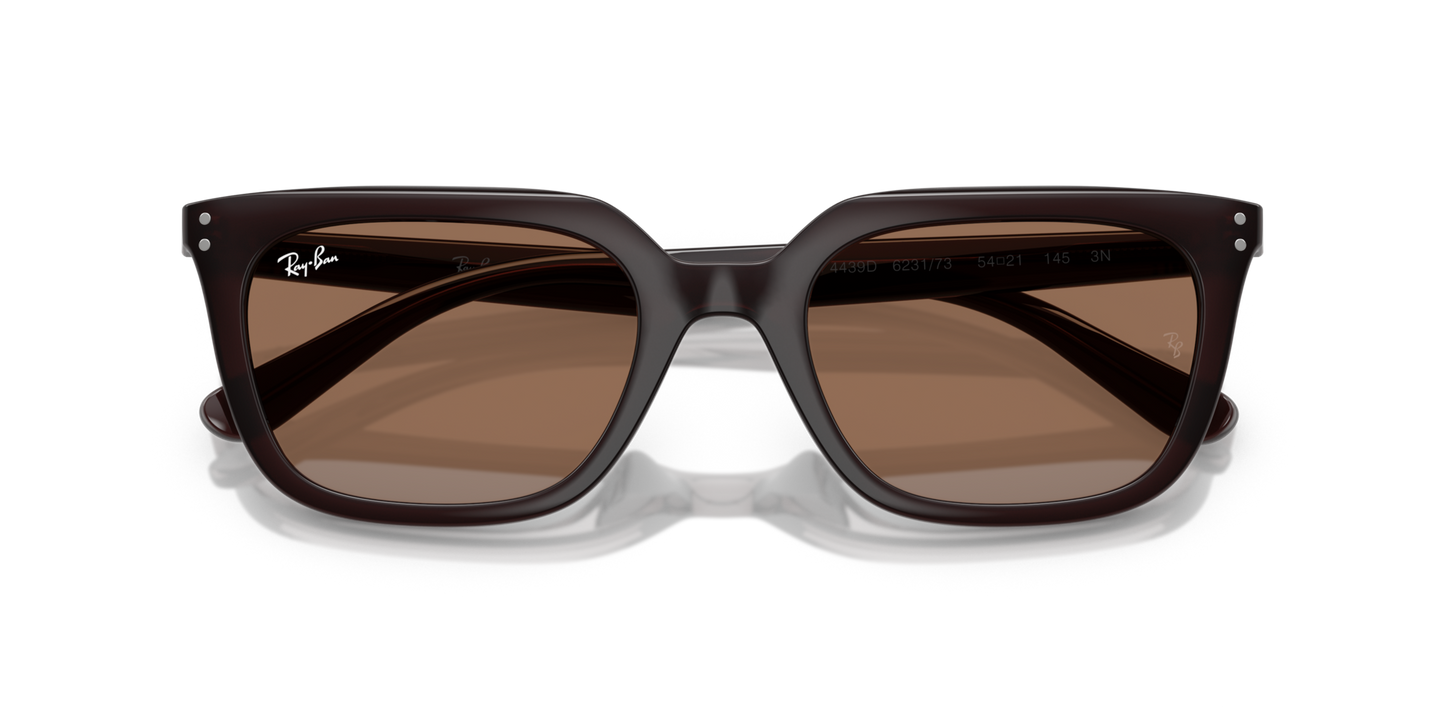 Ray-BanRB4439D 623173 54