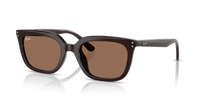 Ray-Ban RB4439D 623173