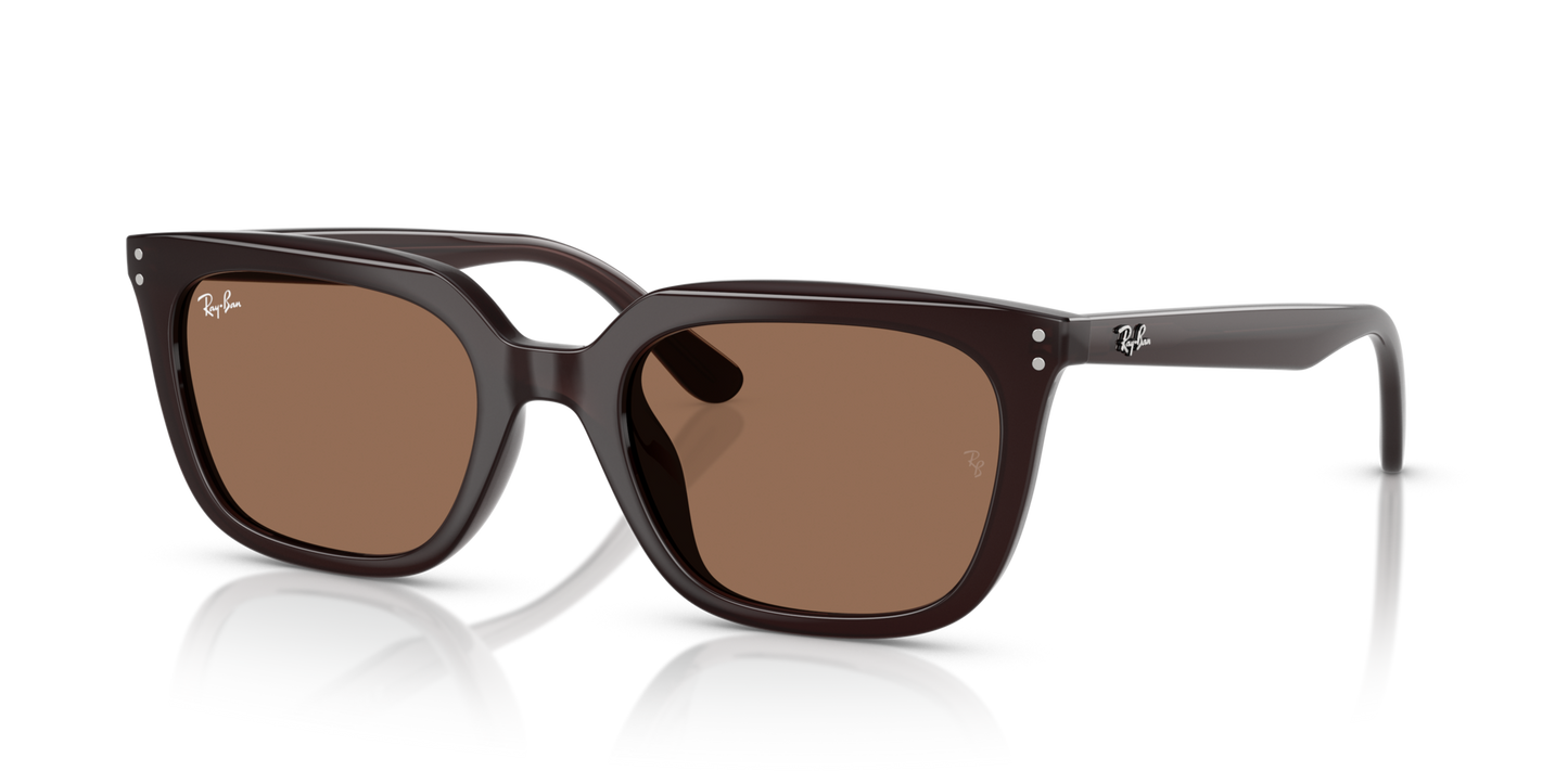 Ray-BanRB4439D 623173 54