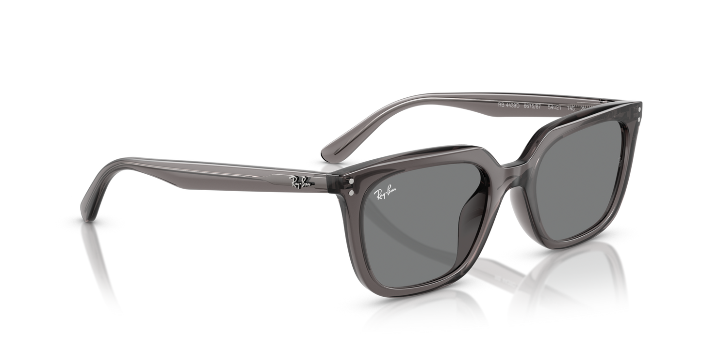 Ray-BanRB4439D 667587 54