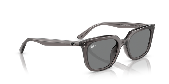 Ray-BanRB4439D 667587 54