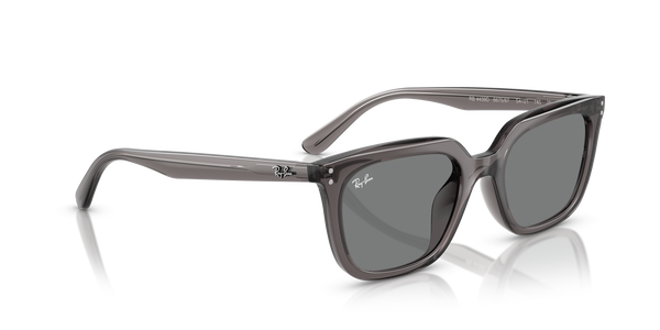 Ray-Ban  RB4439D 667587