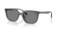 Ray-Ban RB4439D 667587