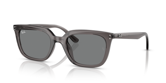 Ray-BanRB4439D 667587 54