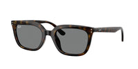 Ray-Ban RB4439D 710/87
