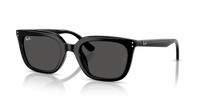 Ray-Ban RB4439D 901/87