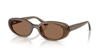 Ray-Ban RB4441D 677973