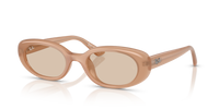 Ray-Ban RB4441D 678793