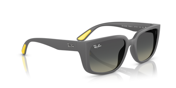 Ray-Ban  RB4443M F60811