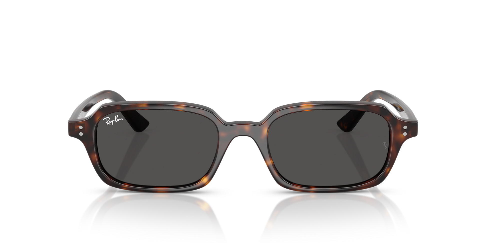 Ray-Ban RB4455 135987 49