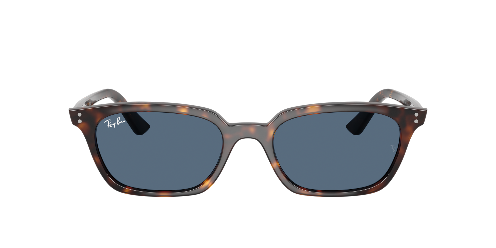 Ray-Ban Zaya RB4456 135980