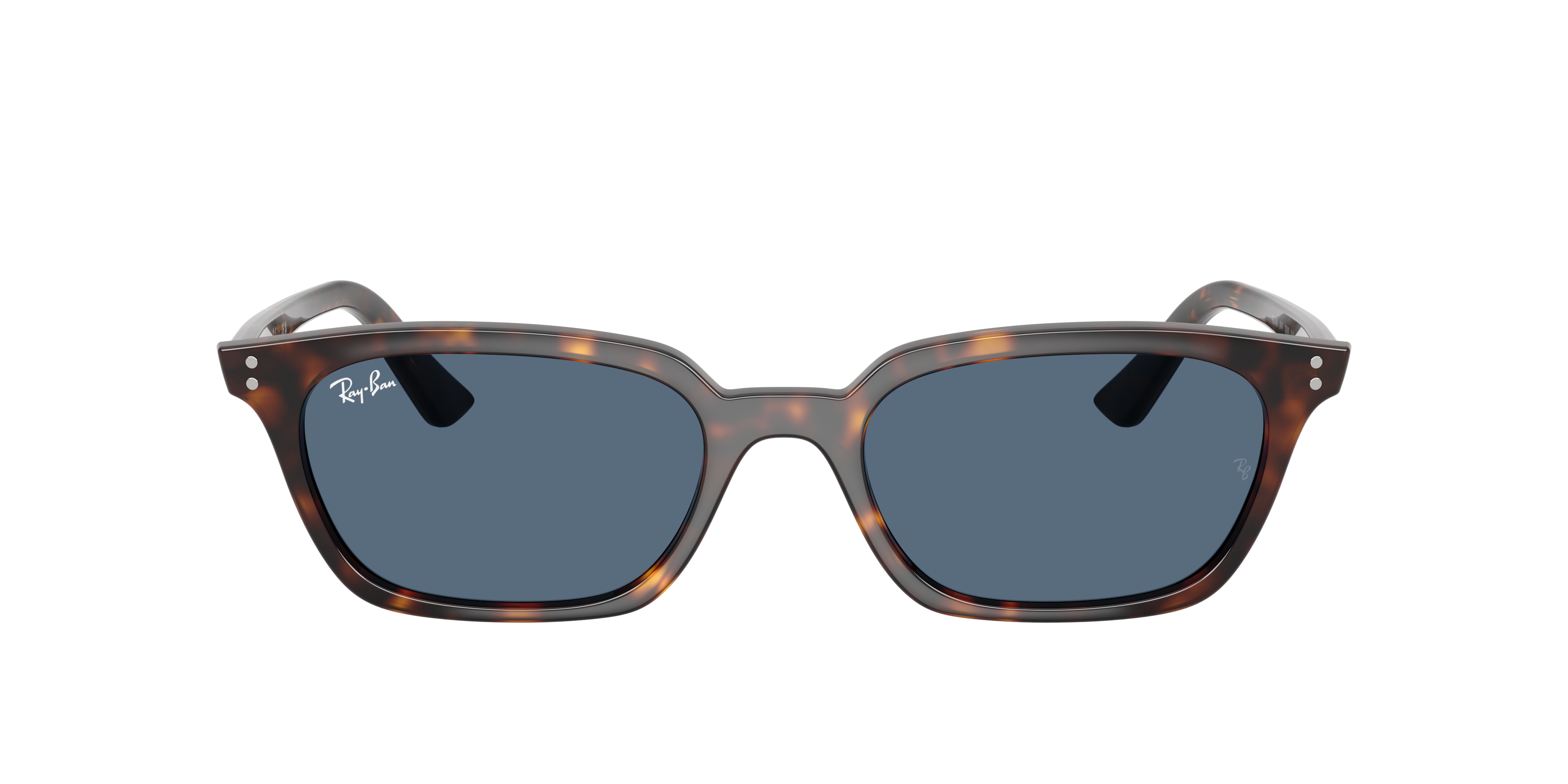 Ray-Ban Zaya RB4456 135980