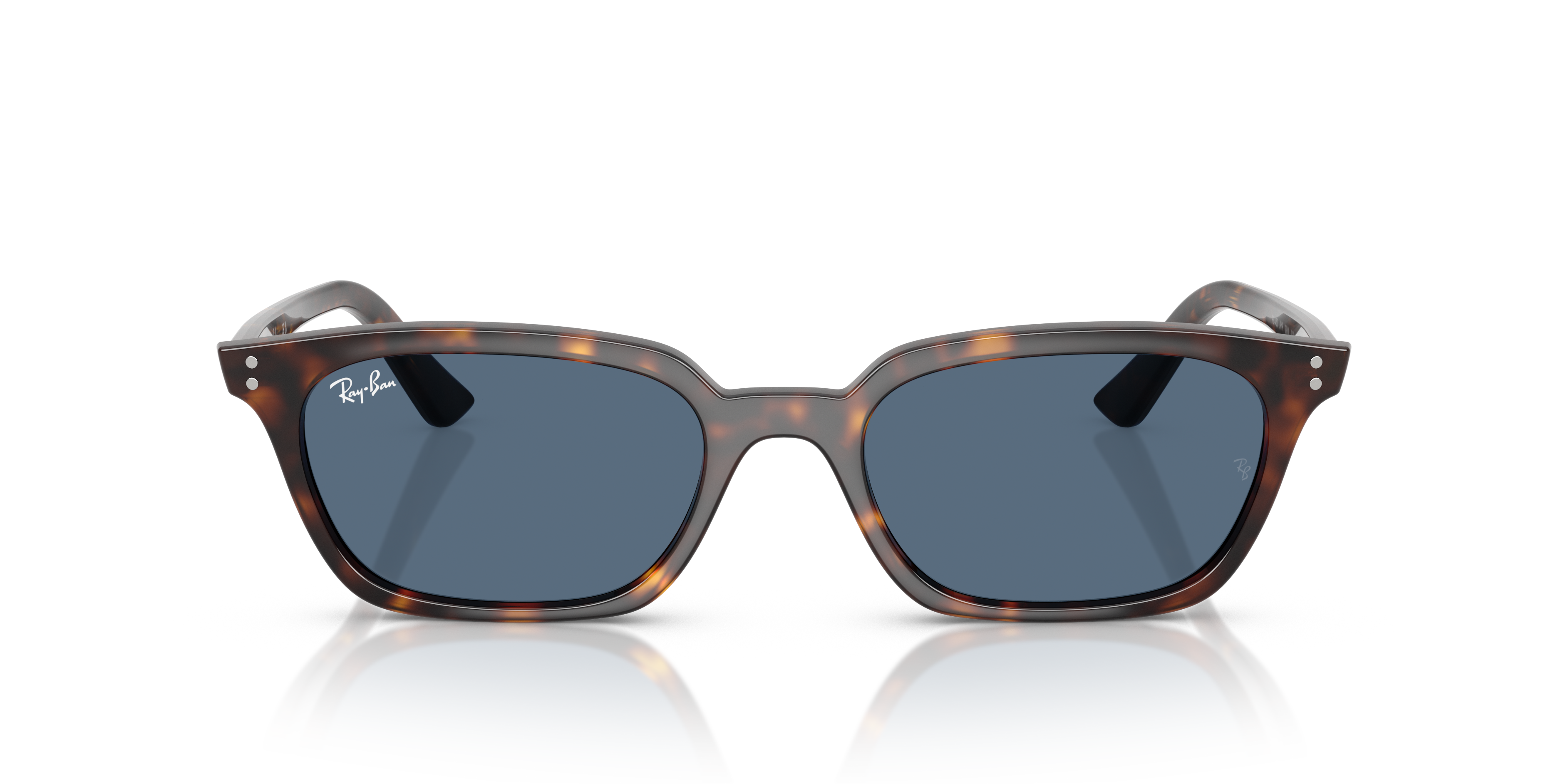 Ray-Ban Zaya RB4456 135980