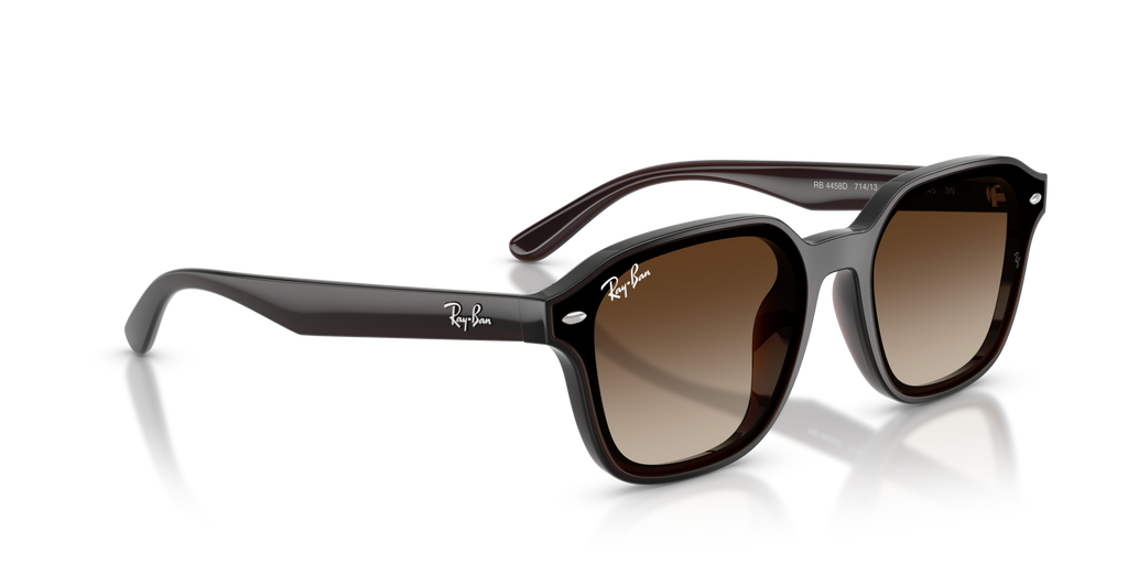 Ray-Ban RB4458D 714/13 Transparent Dark Brown Sunglasses for Men