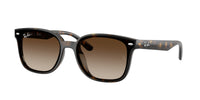 Ray-Ban RB4461D 710/13