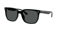 Ray-Ban RB4466D 601/87