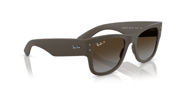 Ray-Ban  RB4840S 6124T5