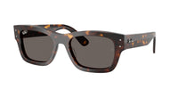 Ray-Ban Joseph RB7683S 902/B1