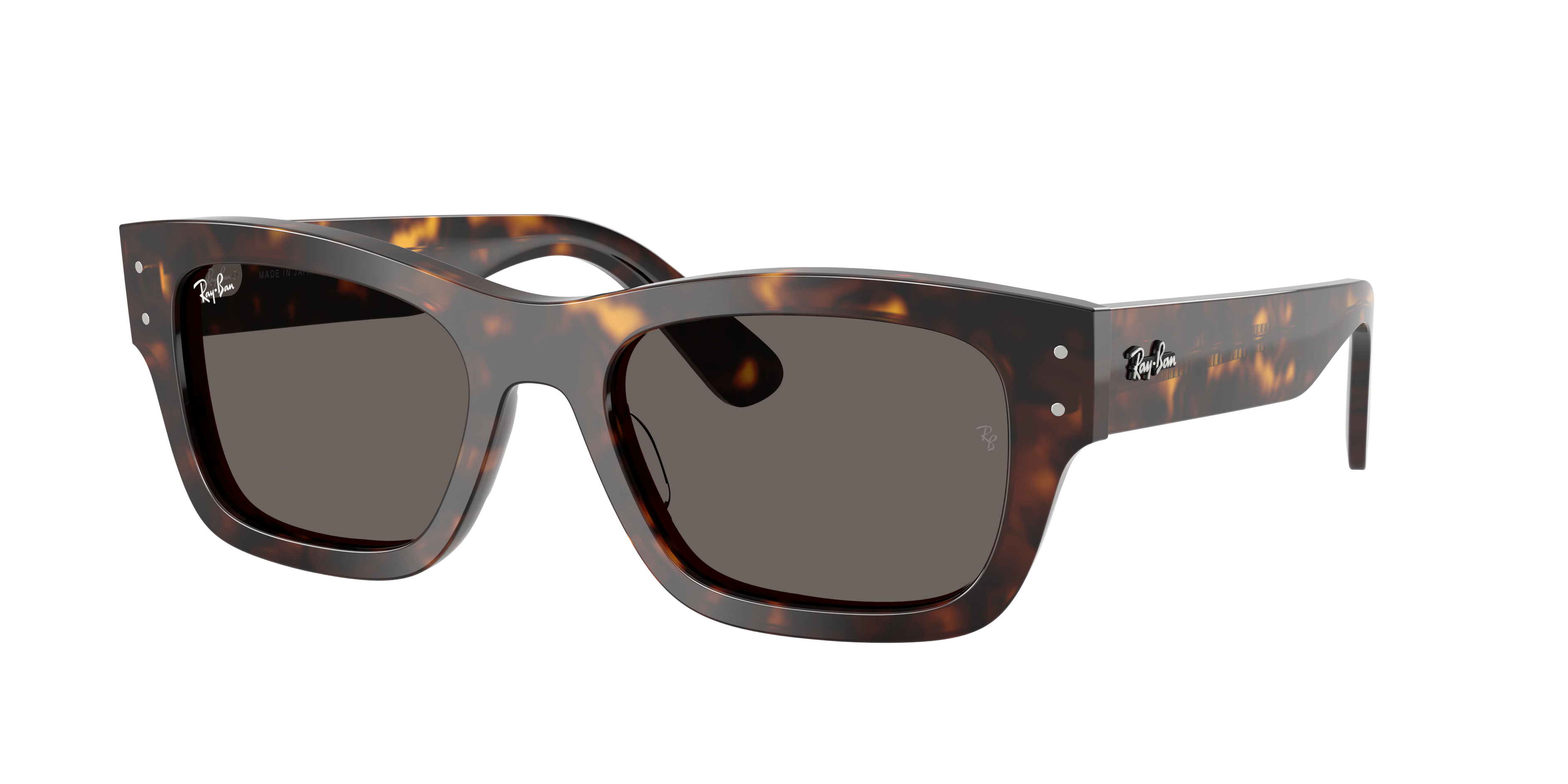 Ray-Ban Joseph RB7683S 902/B1