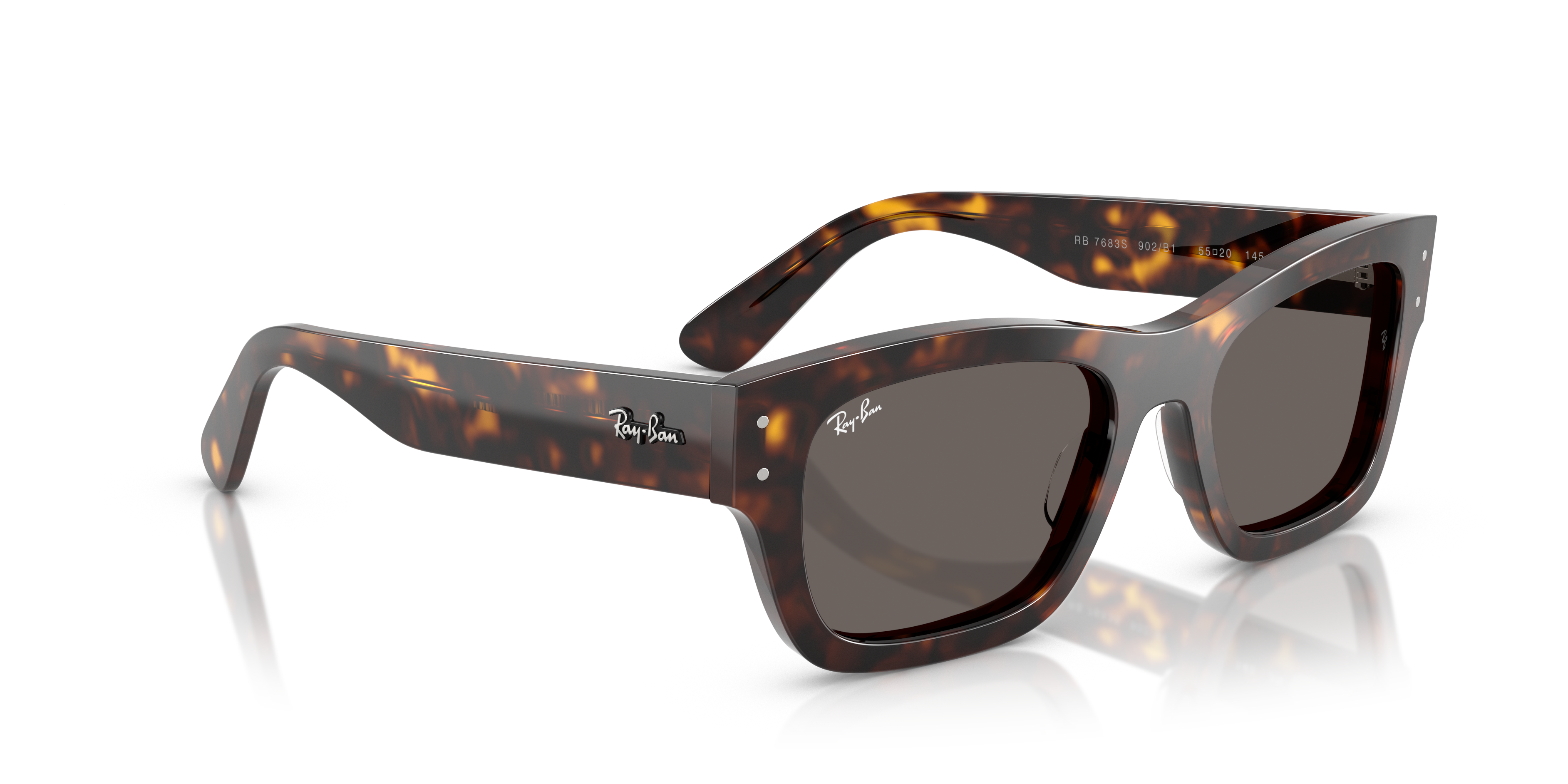 Ray-Ban Joseph RB7683S 902/B1