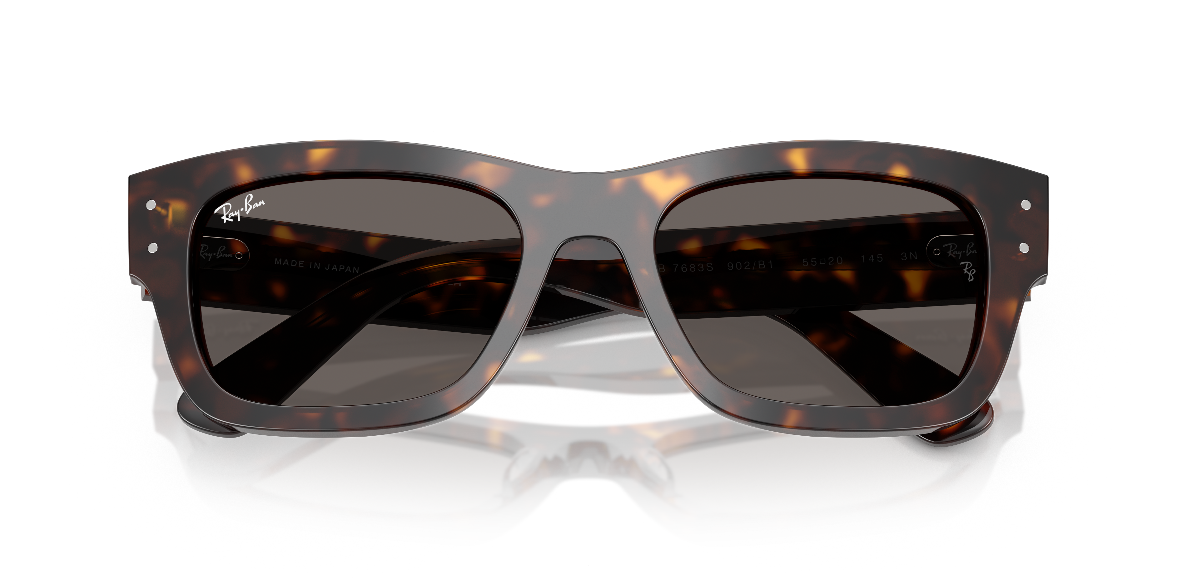 Ray-Ban Joseph RB7683S 902/B1