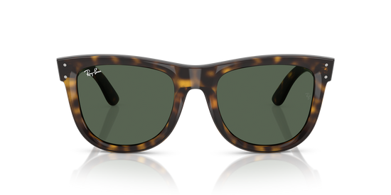 Ray-BanRBR0502S 6790VR 53