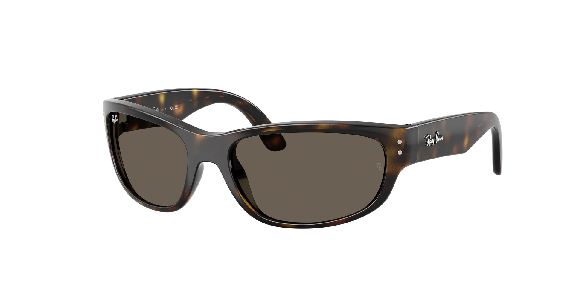 Ray-Ban Junior RJ9189S 152/3