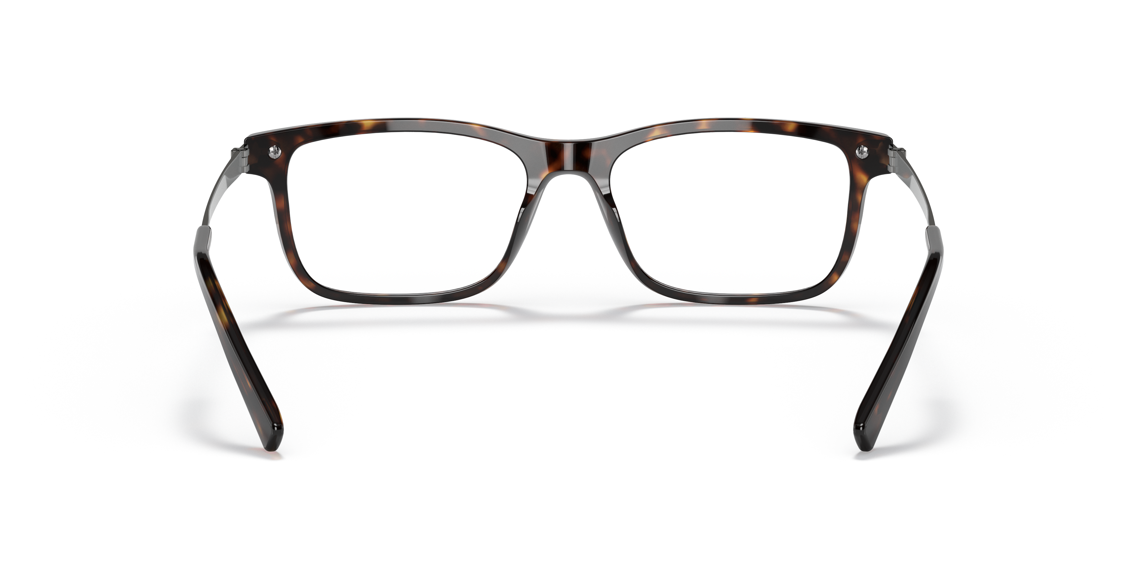 Ralph Lauren RL6215 5003 55